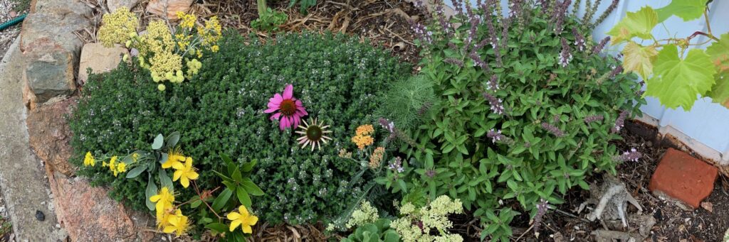 Herb garden