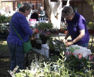 HerbDayStall