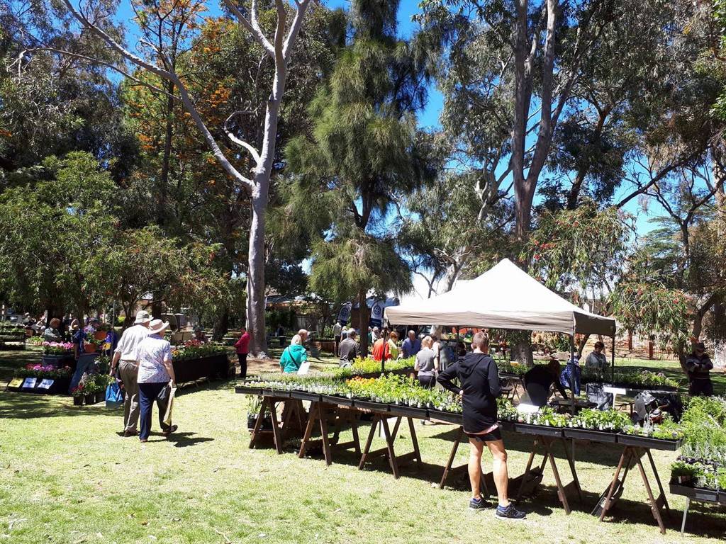Shoppers browsing trestle tables of potted herbs at a previous Herb Day Market